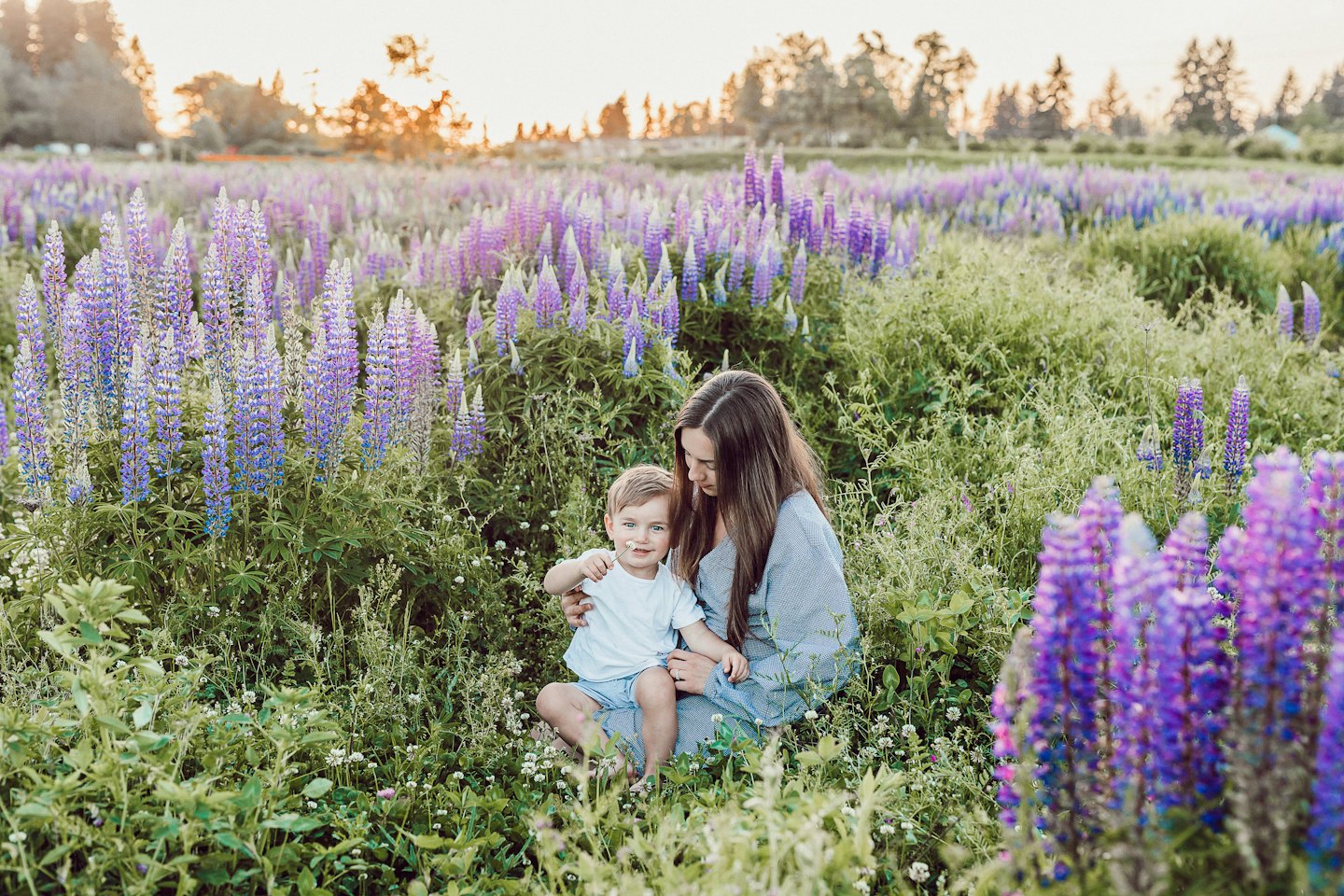 Mother embracing her young son in a field of purple flowers.