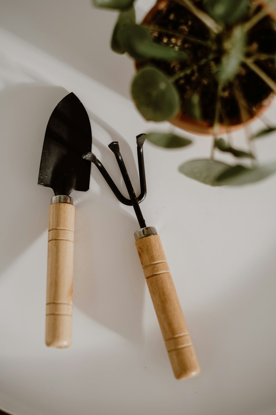 Gardening trowel and hand rake resting on a white surface.